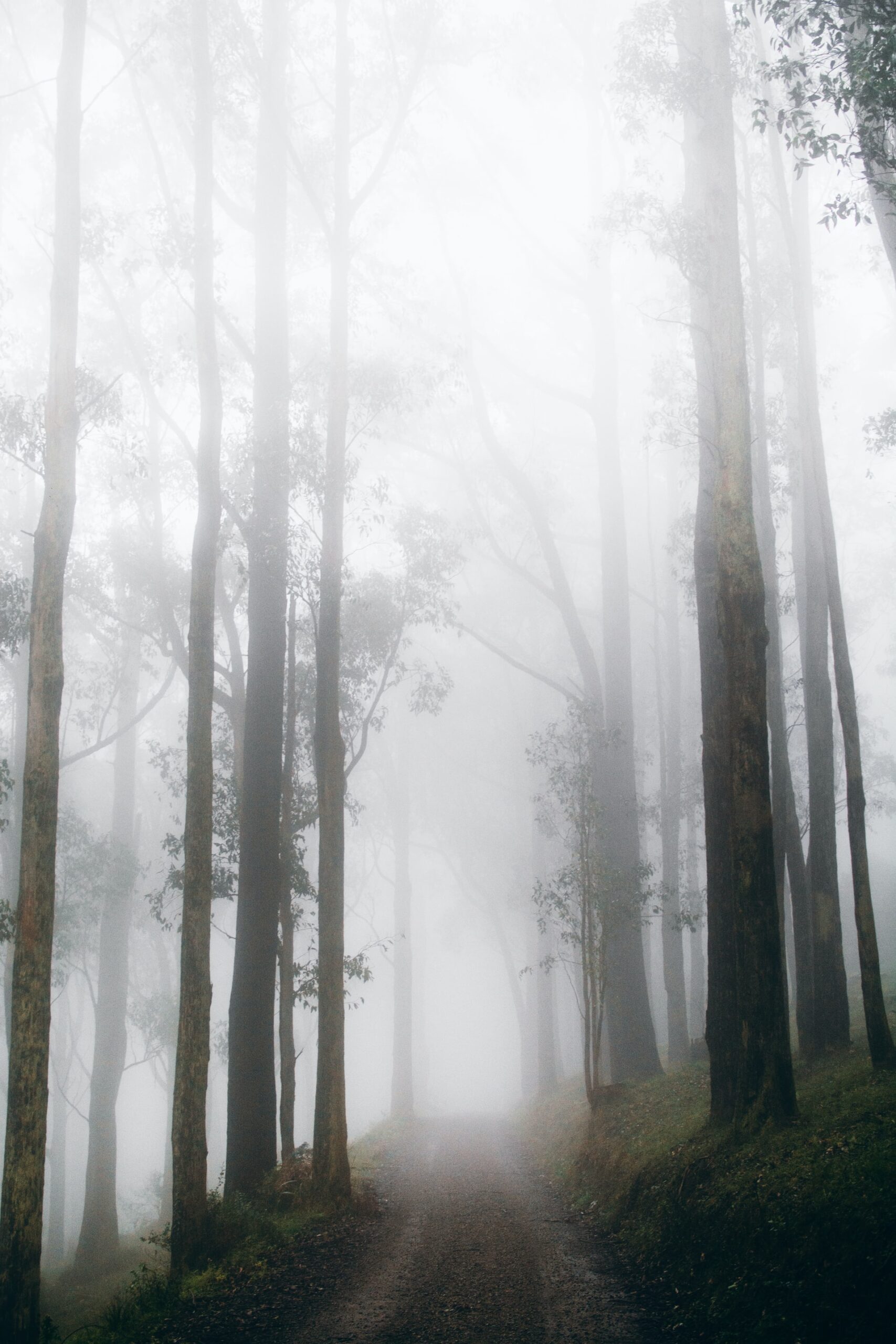 jaccob-mckay-unsplash