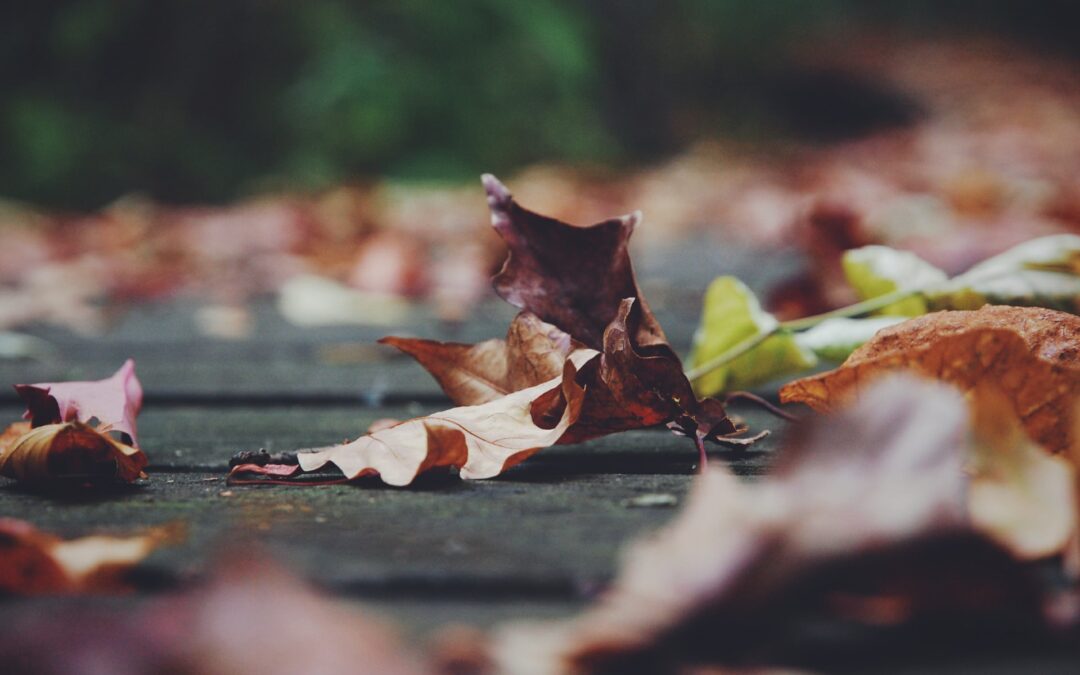 turning over the leaves